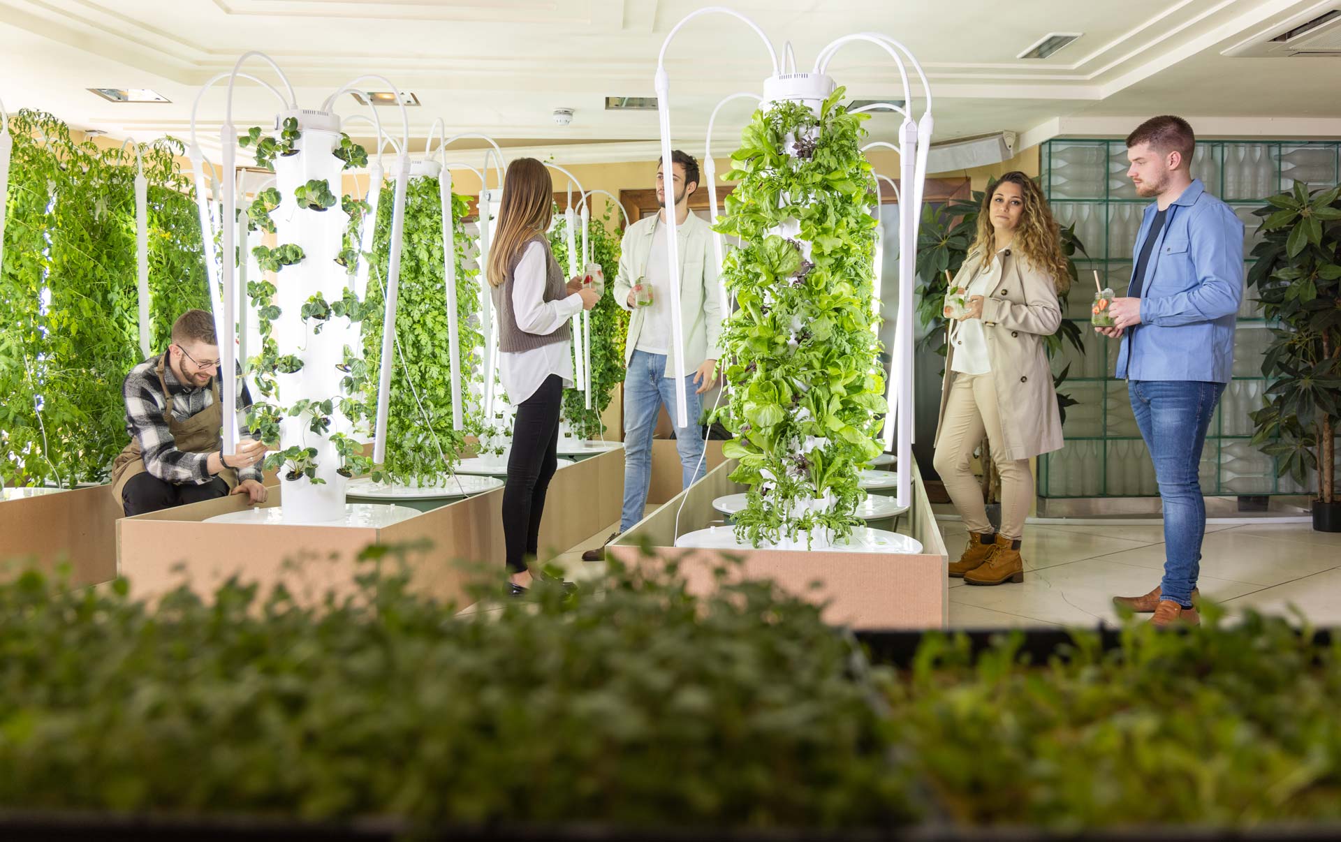Sustainable Experiences with Purpose