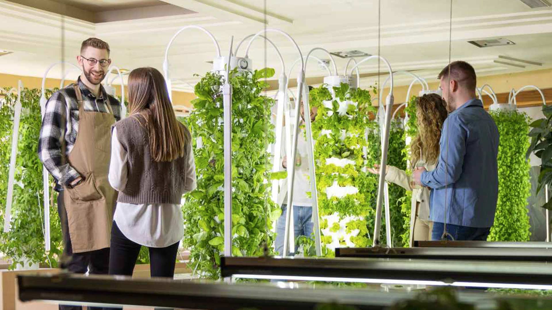 Killarney Urban Farm